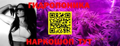 скорость Заводоуковск