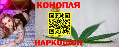 скорость Заводоуковск
