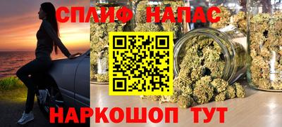 амф Заволжье