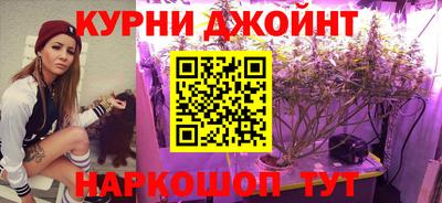 скорость Заводоуковск